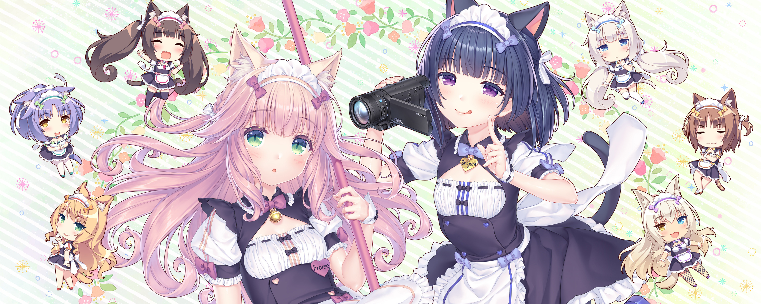 ネコぱらAfter